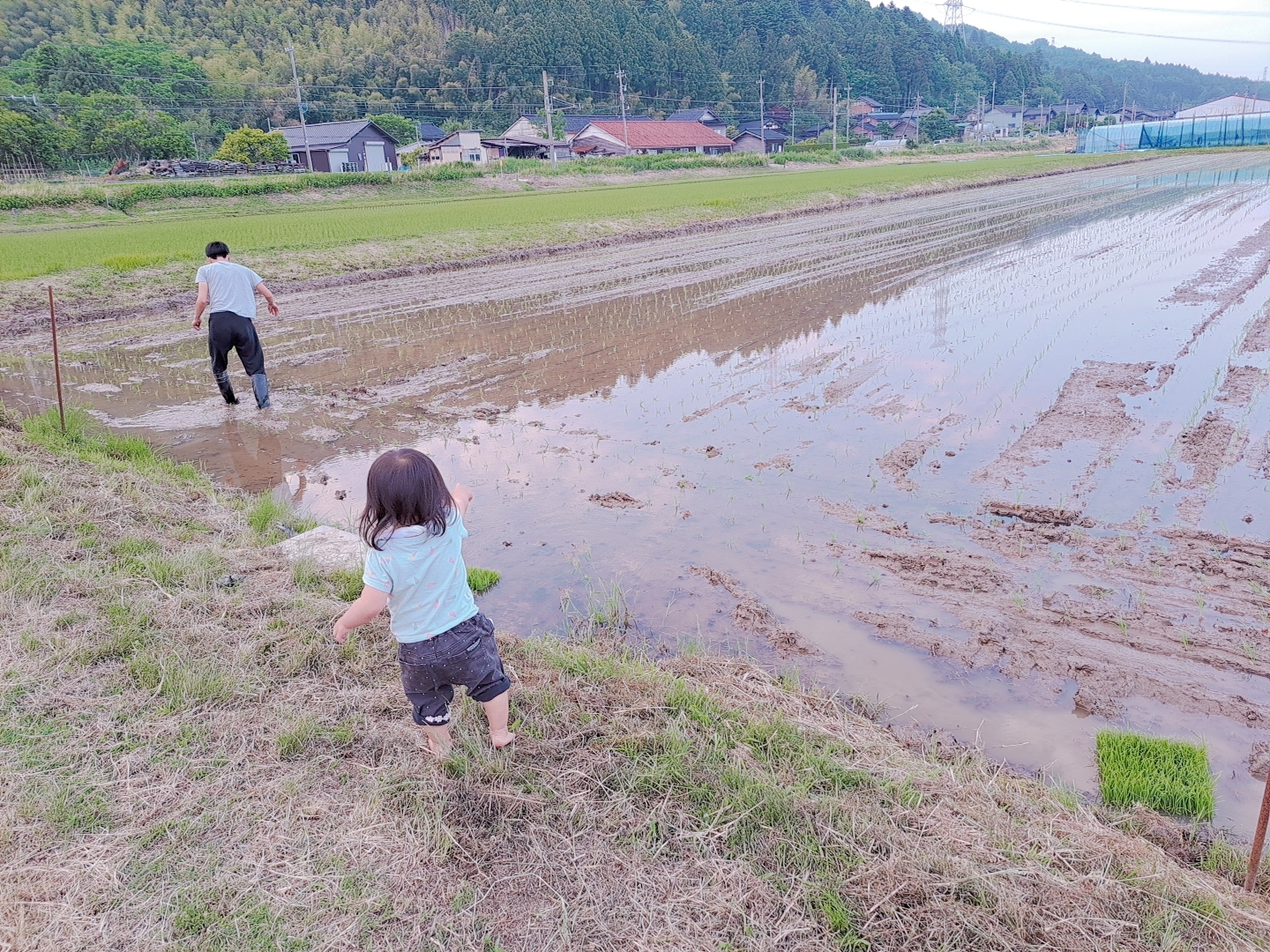 能登の風景